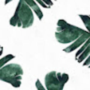 Meet your Posher, Landry